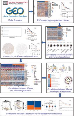 The Comprehensive Analysis Identified an Autophagy Signature for the Prognosis and the Immunotherapy Efficiency Prediction in Lung Adenocarcinoma